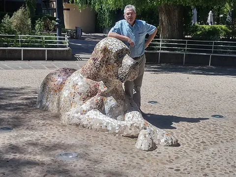 veterinario ocn perro