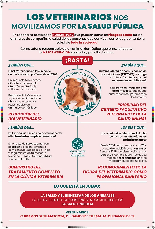 manifestación 2